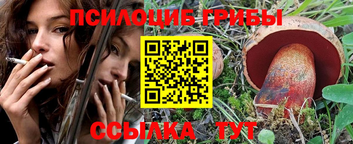 Псилоцибиновые грибы прущие грибы Симферополь