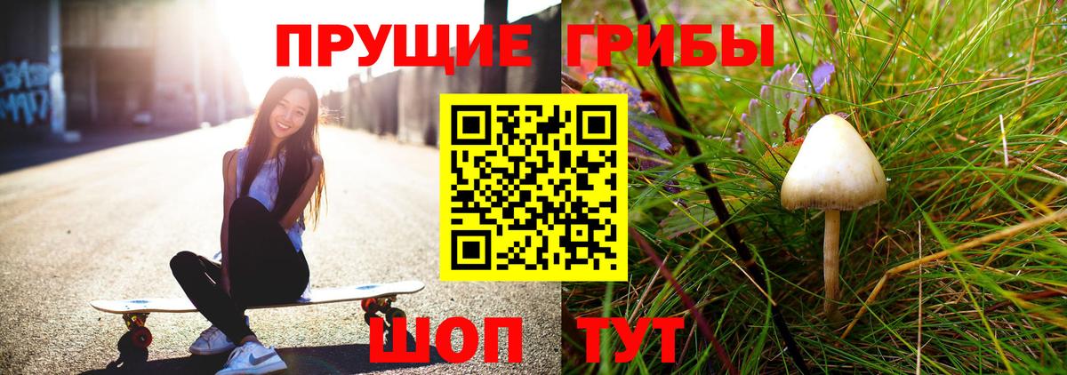 Симферополь  Псилоцибиновые грибы MAGIC MUSHROOMS  Псилоцибиновые грибы прущие грибы  Вход с VPN 